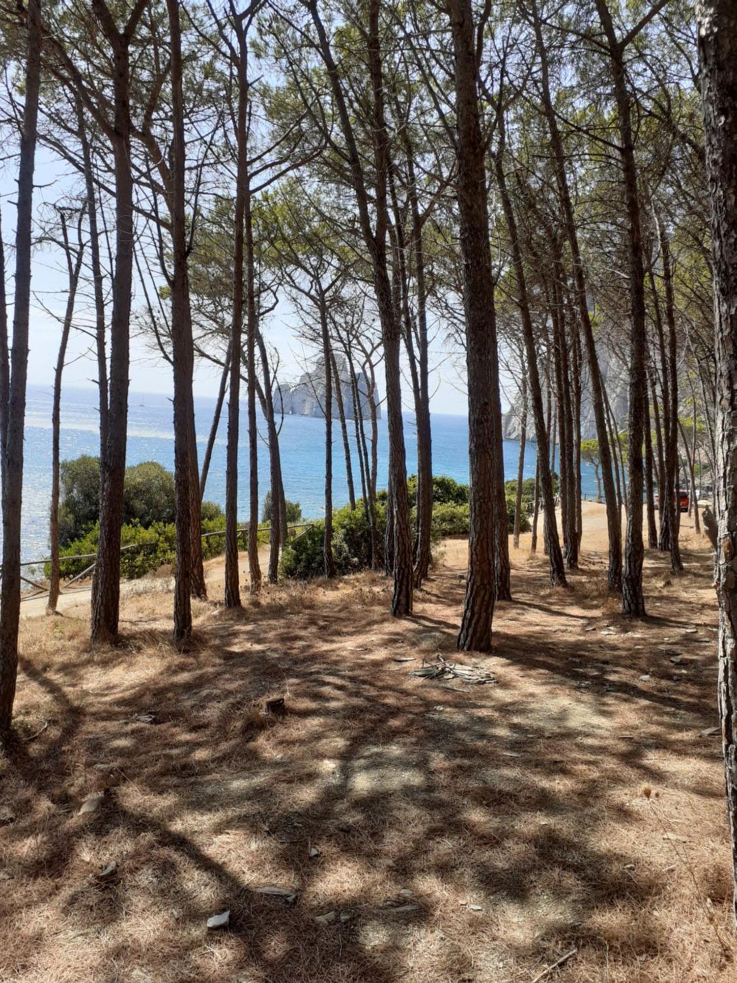 La Tanca Piras Hébergement de vacances *
